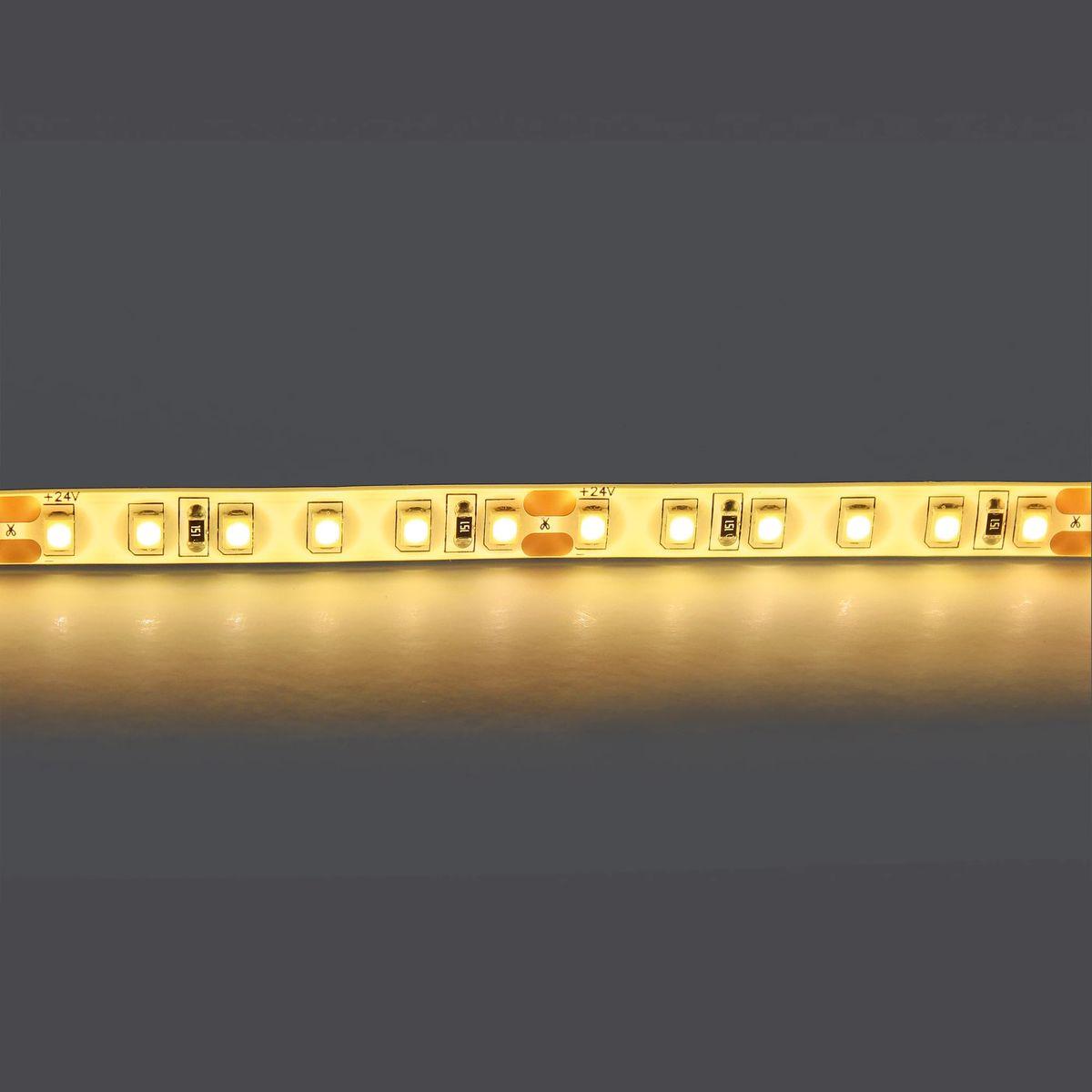 фото светодиодная лента теплый белый lightstar 20w/m 180led/m 5m 421003 | 220svet.ru