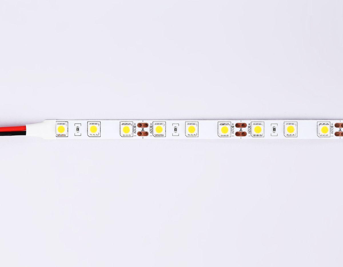 фото светодиодная лента холодный белый ambrella light 14,4w/m 60led/m 5050smd 6500к 5m gs2003 | 220svet.ru