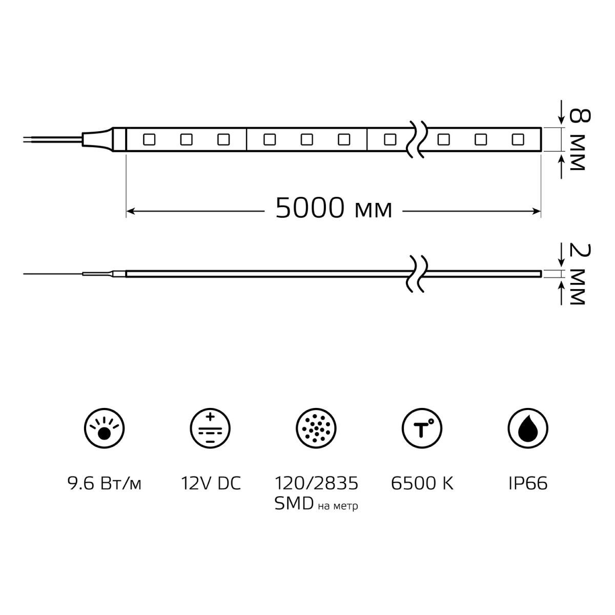 фото светодиодная влагозащищенная лента gauss 9,6w/m 120led/m 2835smd холодный белый 5m 311000310 | 220svet.ru