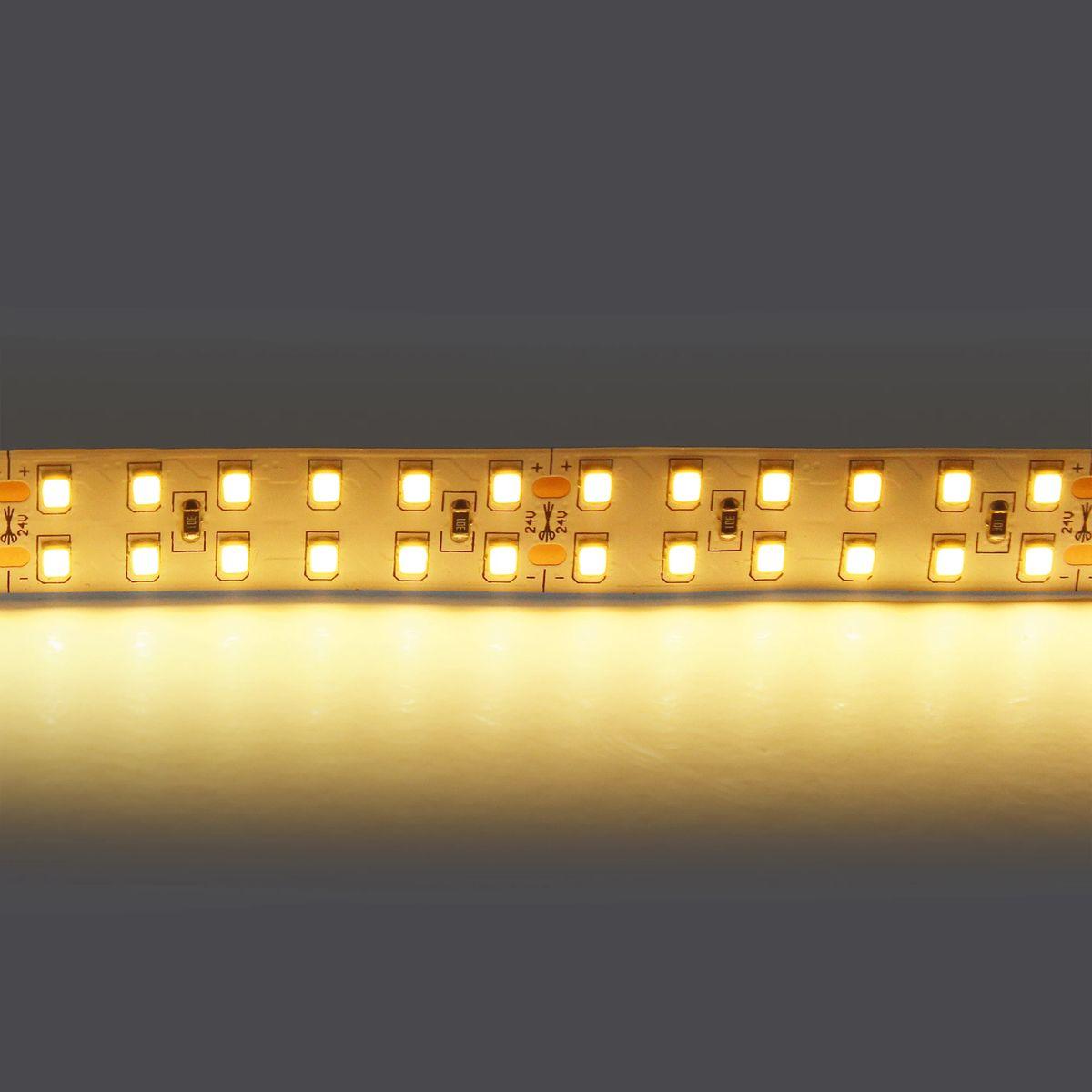 фото светодиодная лента теплый белый lightstar 24w/m 240led/m 5m 421503 | 220svet.ru
