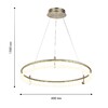 Миниатюра фото подвесная светодиодная люстра favourite girth 4629-6p | 220svet.ru