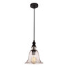 Миниатюра фото подвесной светильник loft it glass bell loft1812 | 220svet.ru
