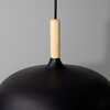 Миниатюра фото подвесной светильник arte lamp kayla a7099sp-1bk | 220svet.ru
