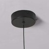 Миниатюра фото подвесной светодиодный светильник favourite wilet 4656-1p | 220svet.ru