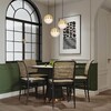 Миниатюра фото подвесной светодиодный светильник favourite luna 4370-1p | 220svet.ru