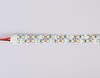 Миниатюра фото светодиодная лента холодный белый ambrella light 24w/m 240led/m 2835smd 6500к 5m gs1703 | 220svet.ru