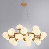 Миниатюра фото подвесная люстра arte lamp bolla a1664sp-25go | 220svet.ru