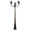 Миниатюра фото уличный фонарь reluce 00867-0.7-003sl 2.2m bkg | 220svet.ru