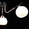 Миниатюра фото потолочная люстра illumico il0713-3csq-24 bk fgd libra | 220svet.ru
