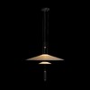 Миниатюра фото подвесной светильник loft it 10244/a black | 220svet.ru