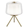 Миниатюра фото настольная лампа st luce pandora sl6127.304.01 | 220svet.ru