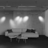 Миниатюра фото трековый магнитный светодиодный светильник maytoni focus led flarity tr144-1-5w3k-w-bs | 220svet.ru