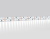 Миниатюра фото светодиодная лента холодный белый ambrella light 24w/m 240led/m 2835smd 6500к 5m gs1703 | 220svet.ru