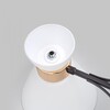 Миниатюра фото потолочная люстра imex md.5692-4-s-coffee+fgd | 220svet.ru