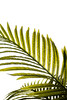 Миниатюра фото пальма искусственная в горшке h130см garda decor 29bj-926-10 | 220svet.ru