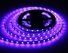 Миниатюра фото светодиодная лента rgbw+холодный белый ambrella light 10w/m 60led/m 5050smd rgbw+6500к 5m gs4403 | 220svet.ru