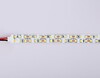Миниатюра фото светодиодная лента теплый белый ambrella light 24w/m 240led/m 2835smd 3000к 5m gs1701 | 220svet.ru