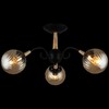 Миниатюра фото потолочная люстра reluce 04886-0.3-03 bk+wood | 220svet.ru