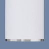 Миниатюра фото потолочный светильник elektrostandard dln101 gu10 wh белый a043967 | 220svet.ru