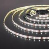Миниатюра фото светодиодная лента elektrostandard 4,8w/m 60led/m 2835smd холодный белый 5m a052955 | 220svet.ru