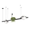 Миниатюра фото подвесной светодиодный светильник loft it jardin 10121/d dark grey | 220svet.ru