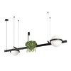 Миниатюра фото подвесной светодиодный светильник loft it jardin 10121/d | 220svet.ru