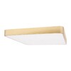 Миниатюра фото потолочный светодиодный светильник loft it flims 10228/d | 220svet.ru