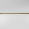Миниатюра фото трековый магнитный светодиодный светильник elektrostandard brass line 85527/01 a069635 | 220svet.ru