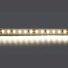 Миниатюра фото светодиодная лента дневной белый lightstar 12w/m 120led/m 5m 420804 | 220svet.ru