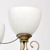 Миниатюра фото подвесная люстра mw-light фелиция 347016608 | 220svet.ru