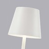 Миниатюра фото настольная лампа f-promo pyari 4614-1t | 220svet.ru