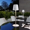 Миниатюра фото ландшафтный светодиодный светильник elektrostandard tl70220 a063928 | 220svet.ru