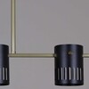 Миниатюра фото потолочная люстра на штанге reluce 06675-0.3-03 gd+bk gx53 | 220svet.ru
