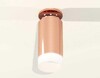 Миниатюра фото комплект потолочного светильника ambrella light techno spot xc (n6906, c6326, n6248) xs6326082 | 220svet.ru