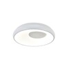 Миниатюра фото потолочный светодиодный светильник indigo cratere 14016/1с white v000152l | 220svet.ru