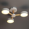 Миниатюра фото потолочная светодиодная люстра ritter scandia 51589 4 | 220svet.ru