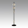 Миниатюра фото торшер светодиодный odeon light modern 5407/23fl черный | 220svet.ru