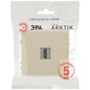Миниатюра фото розетка эра arktik 16-3114-04 hdmi шампань б0070507 | 220svet.ru