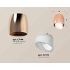 Миниатюра фото комплект накладного светильника ambrella light techno spot xs1144021 ppg/fr золото розовое полированное/белый матовый (c1144, n7175) | 220svet.ru