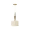 Миниатюра фото подвесной светильник odeon light classic 5403/1 | 220svet.ru