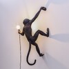 Миниатюра фото настенный светильник monkey lamp hanging right seletti | 220svet.ru
