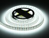 Миниатюра фото светодиодная лента холодный белый ambrella light 26w/m 324led/m 2835smd 6500к 5m gs3903 | 220svet.ru