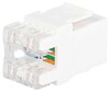 Миниатюра фото коннектор эра офис 18-8002-01 rj45 cat6 utp keystone цвет белый б0063290 | 220svet.ru
