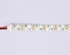 Миниатюра фото светодиодная лента теплый белый ambrella light 19,2w/m 240led/m 2835smd 3000к 5m gs1601 | 220svet.ru