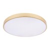 Миниатюра фото потолочный светодиодный светильник loft it flims 10228/b | 220svet.ru