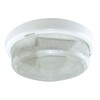Миниатюра фото настенно-потолочный светильник tdm electric рондо нпп 03-100-015.01 sq0311-0008 | 220svet.ru