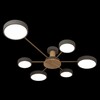 Миниатюра фото потолочная светодиодная люстра loft it sunrise 10316/6 grey | 220svet.ru