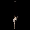Миниатюра фото подвесной светильник loft it monkey 10314p | 220svet.ru