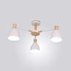 Миниатюра фото потолочная светодиодная люстра imperium loft folke 178028-26 | 220svet.ru