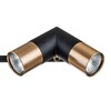 Миниатюра фото подвесная люстра indigo doppio 11036/6r black v000452 | 220svet.ru